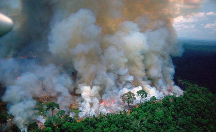 巴西亚马孙森林大火抗灾形势严峻，政府宣布禁火令