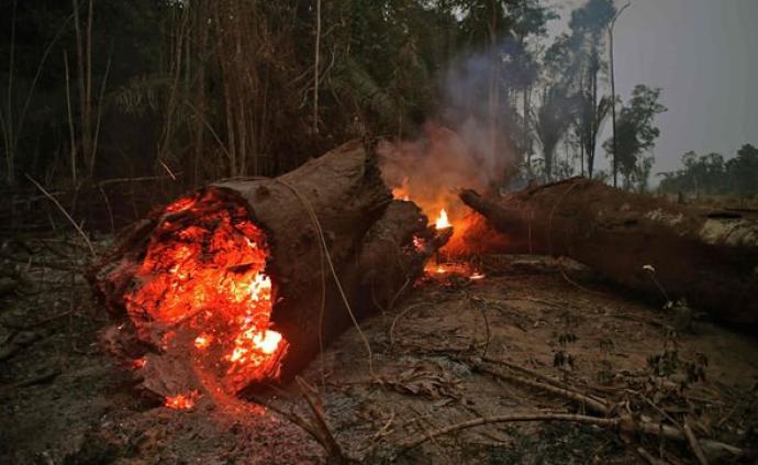 亚马孙大火持续，巴西总统出新招：禁止农民60天内焚烧土地
