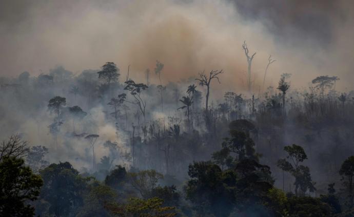 环境部：亚马孙大火应引发全球对气候变化和极端气候的关注
