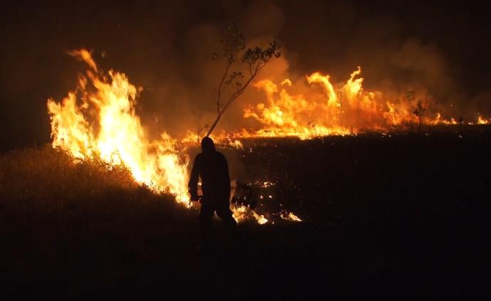 巴西总统想通了：禁60天内焚烧土地