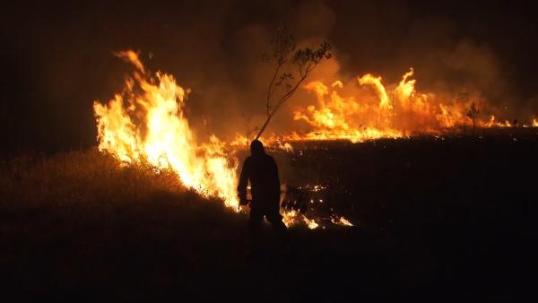 巴西总统想通了：禁60天内焚烧土地