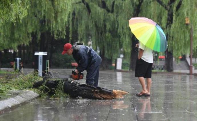 中央气象台：台风“白鹿”将登陆，西北华北黄淮再迎降水过程
