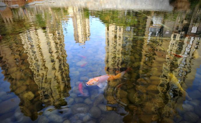 8月房企海外融资大幅缩水，环比下跌近八成