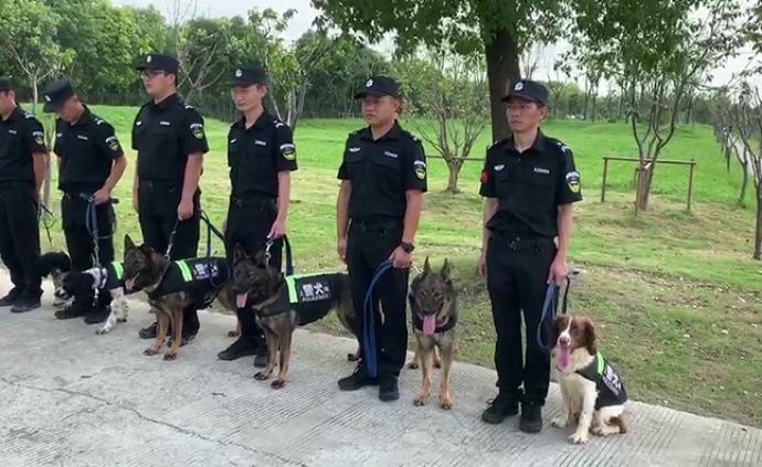 扑咬、钻圈、搜血……警犬是这样炼成的