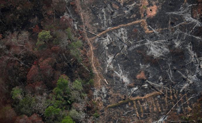 巴西军方：亚马孙雨林布朗多尼亚地区火灾已被基本扑灭
