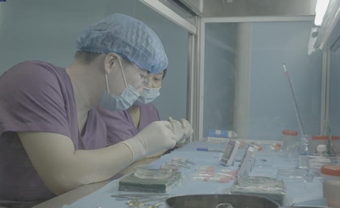 上海市人类生育力保存中心揭牌，有肿瘤患者冷冻部分卵巢组织