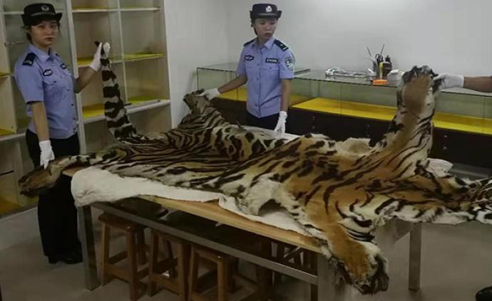 海关破获走私老虎等濒危动植物及制品案，抓获40人