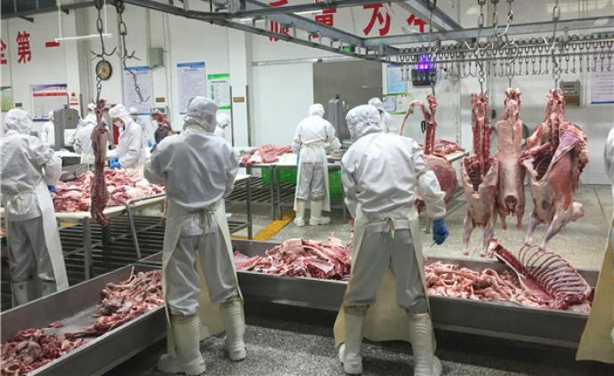 宁夏滩羊和甘肃牦牛肉上半年销量增加、供应充足