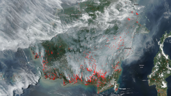 新马泰空气污染爆表，全怪印尼山火