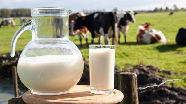 人造奶问世，那些关于牛奶不利于健康的传言是真的吗？