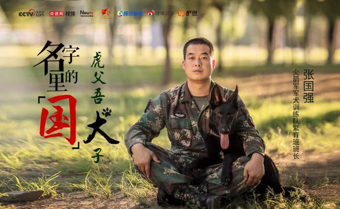 軍犬“奶爸”為千條犬接生，卻錯過自己孩子出生｜名字里的“國”③