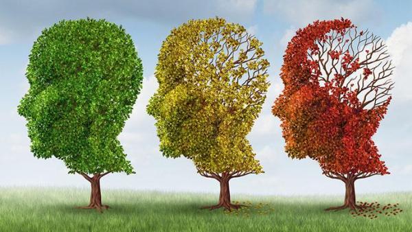 “脑龄”测试靠谱吗？这六招教你延缓大脑衰老