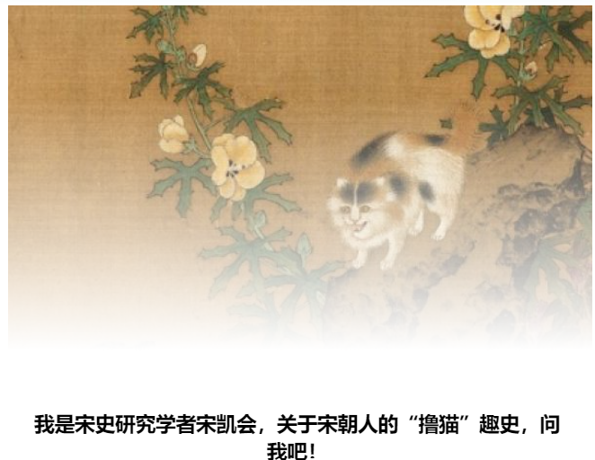 下聘、写诗、作画，谁是宋代顶级猫奴？