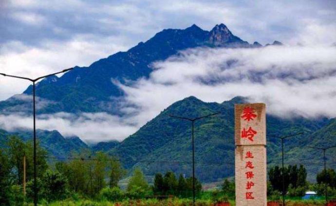 陕西秦岭保护再升级：新条例划三级保护区，违建最高罚两百万
