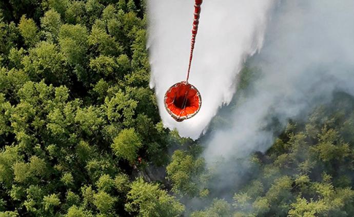 俄罗斯空中森林保护署：俄境内野火全部被扑灭