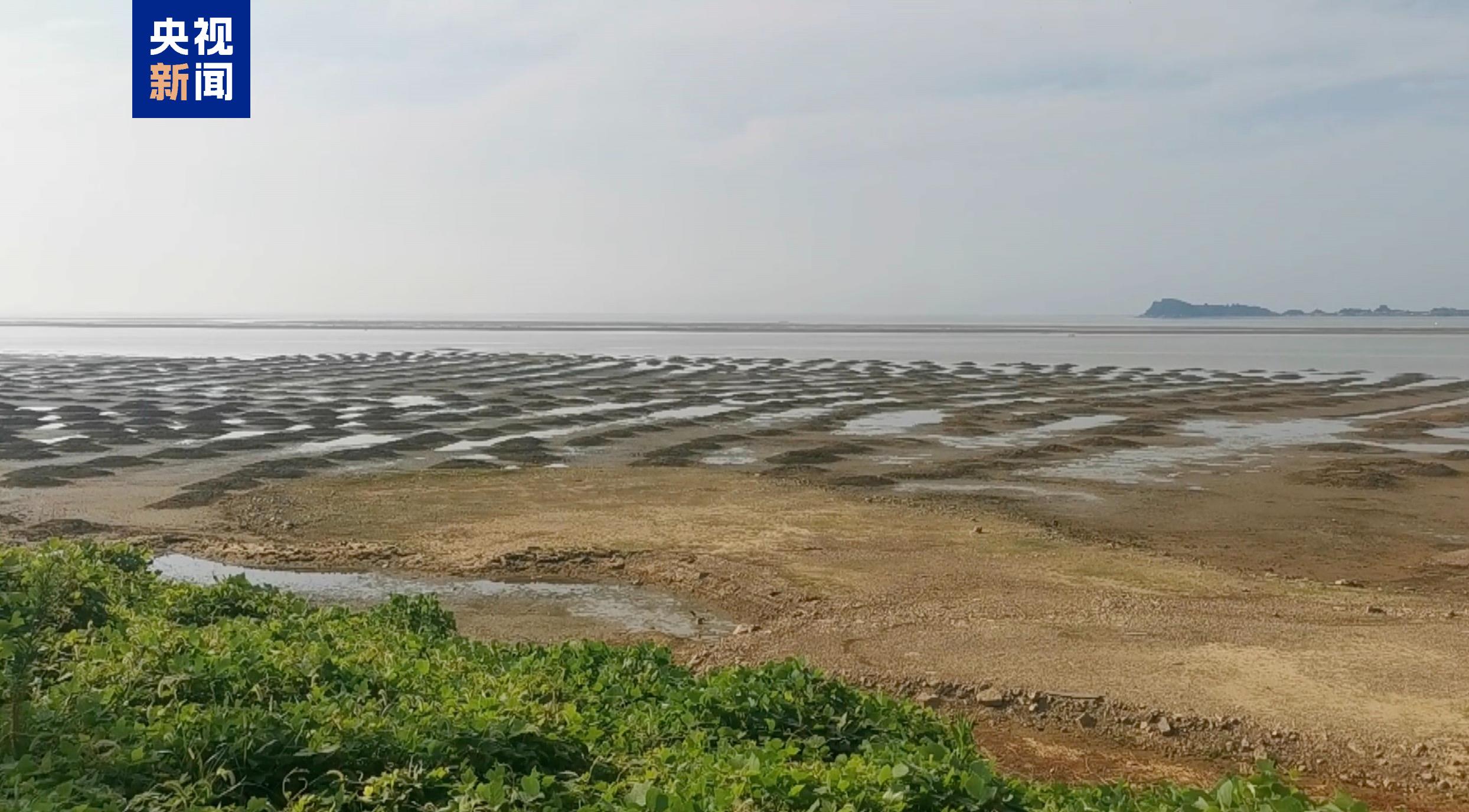 鄱阳湖水位跌破12米，进入枯水期