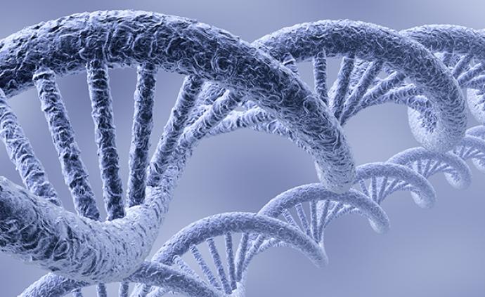 我国科学家成功克隆抗纹枯病基因，为作物抗纹枯病提供标靶