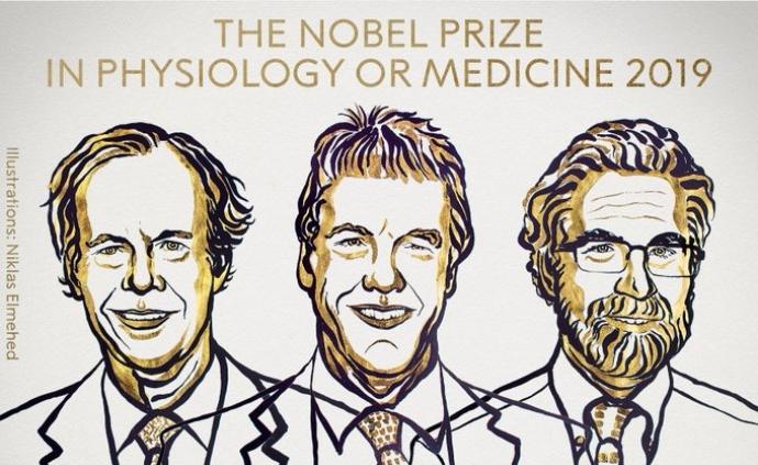 生理学或医学诺奖花落感受氧气基本原理，授予3位美英科学家