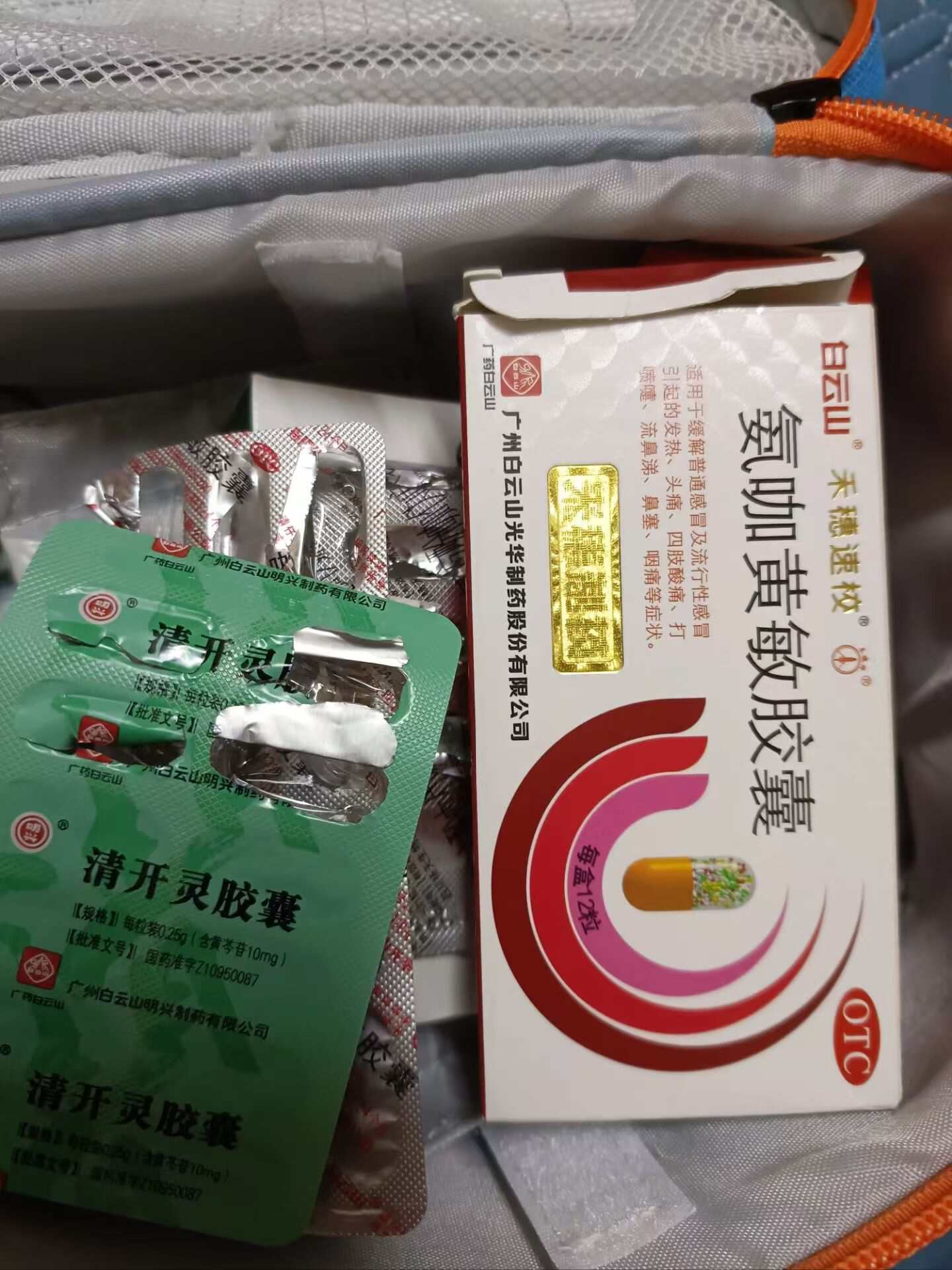 广东的夏秋，一场与登革热的较量  第2张