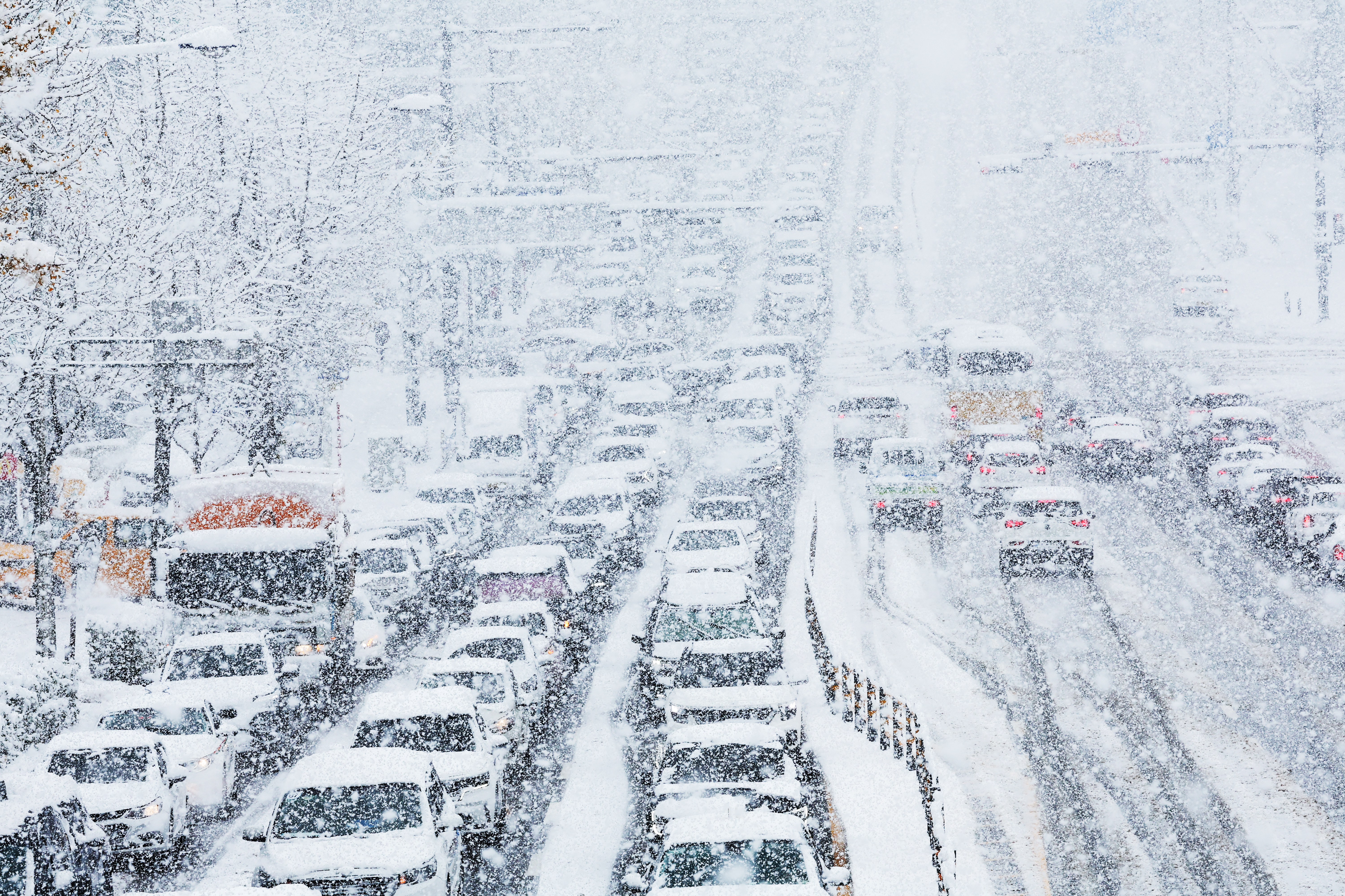 图集｜韩国暴雪持续两天，多地积雪超40厘米大量航班取消