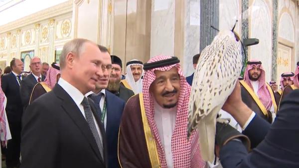 普京时隔12年访沙特，送国王俄罗斯隼