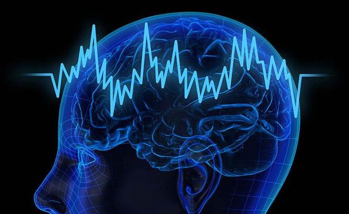 哈佛医学院研究：大脑过度活动与较短的寿命有关