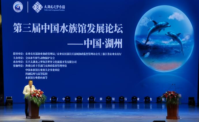 中国海洋馆如何保护水生动物：今年已救、放29只斑海豹