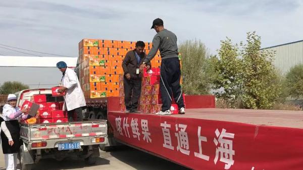新疆农产上海热销，援建项目助喀什脱贫
