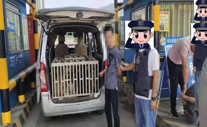 盗杀农村土狗以获私利，两名盗狗男子被广西北流警方抓获