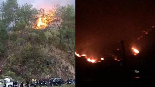 安庆村民用火不慎引发森林火灾，被刑拘