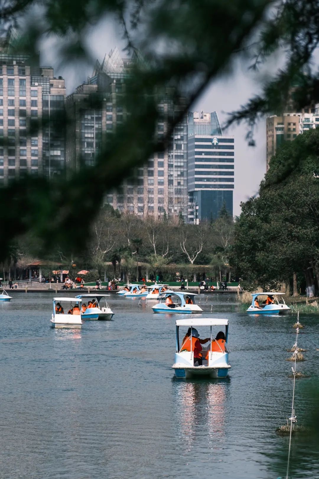 春游去哪儿最好玩(春游去哪儿旅游最好)