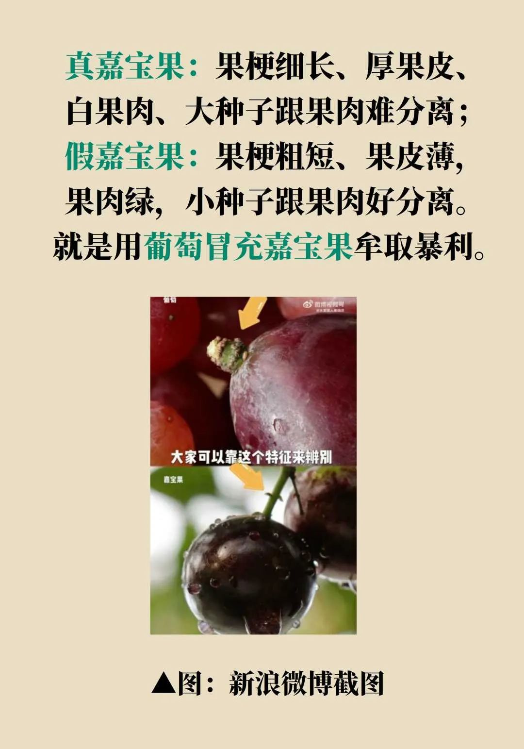 这些网红果蔬正在收割你的钱包,营养师:吃了个寂寞 第7张 这些网红果蔬正在收割你的钱包,营养师:吃了个寂寞 第7张