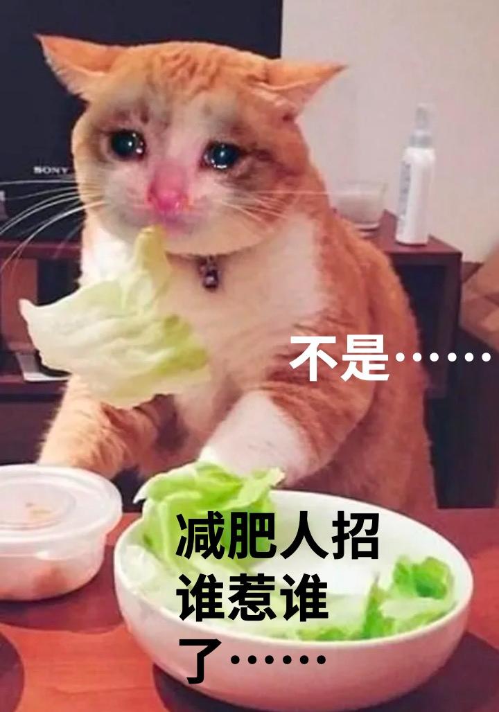 每天少看1小时手机,就可能有神奇效果