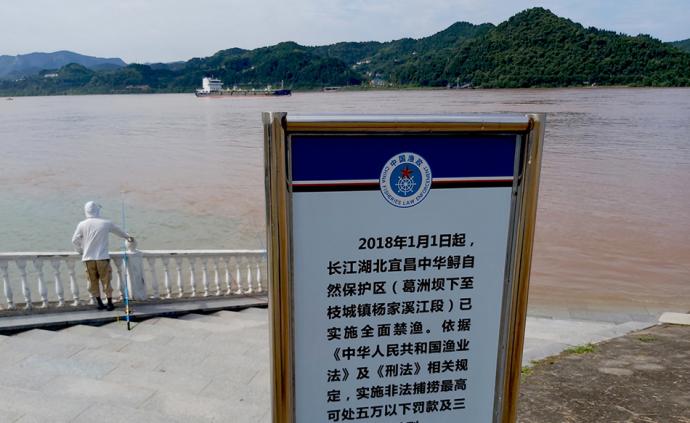 保护长江水生生物资源：“禁渔”与环境保护修复“并重”
