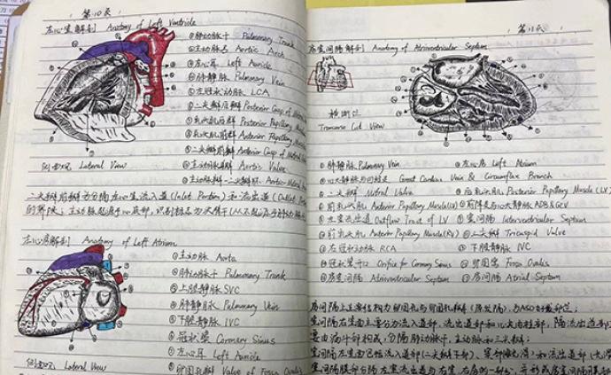 川大医学生教科书级笔记走红，网友誉称“医学界的灵魂画手”