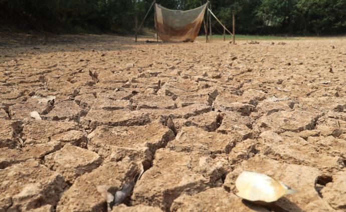 江西严重干旱致42万公顷农作物受灾，多地开展人工增雨