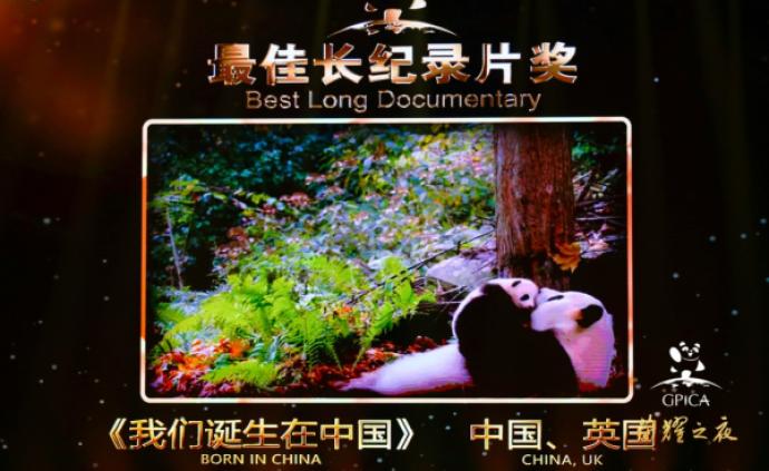 《我们诞生在中国》荣获“金熊猫”国际传播奖最佳长纪录片奖