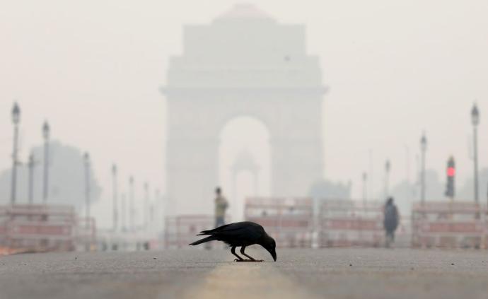焚烧秸秆致空气污染加剧，新德里进入“公共健康紧急状态”