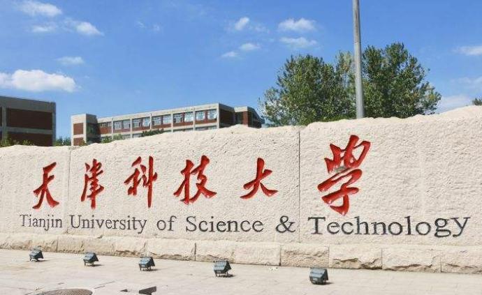 天津科技大学双子图片