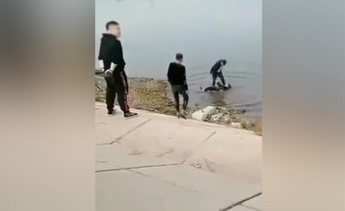 绥中一女子遭多人殴打拖入河中呛水：警方介入，教育部门排查