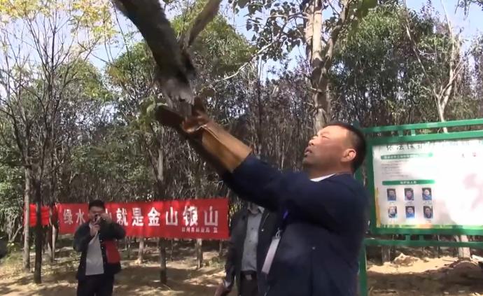 鄭州一野生動物救助站搬家，放生健康動物