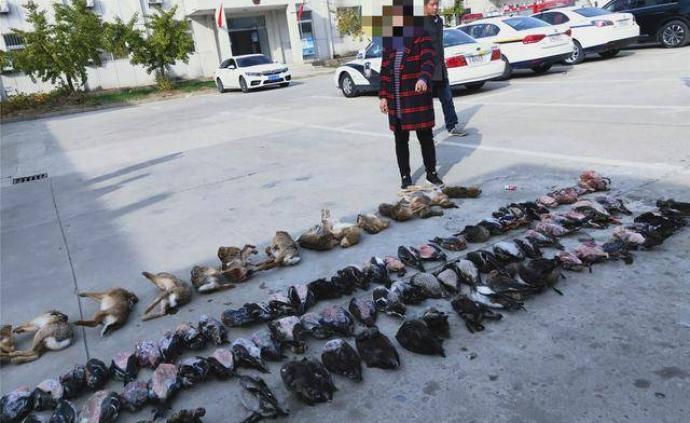 洪泽湖畔数百水鸟遭捕杀贩卖，“野保特攻队”阻击