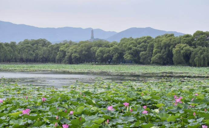 郭守敬：水脉整治与文脉奠基