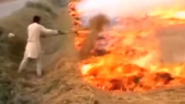 焚烧秸秆加重污染，印度逮捕80余名农民