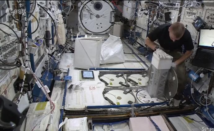欧空局在国际空间站培育血管，有助人体器官移植和新药生产