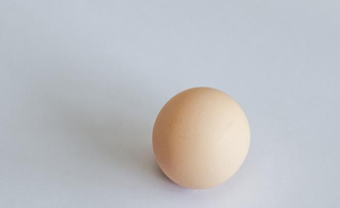 塑料污染进入食物链？印尼鸡蛋被检验出含二恶英
