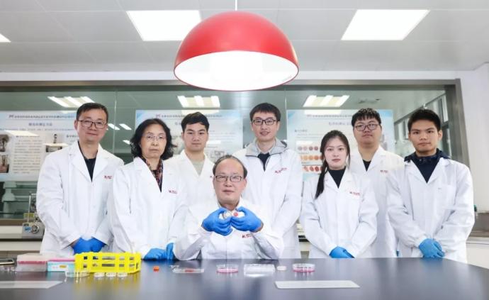 南京农业大学国家肉品中心：中国第一块人造培养肉诞生
