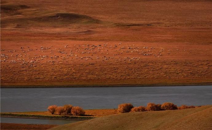 胡维刚风光摄影作品《北疆的秋》