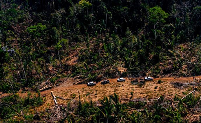 卫星图像显示巴西亚马孙雨林砍伐面积创2008年以来新高