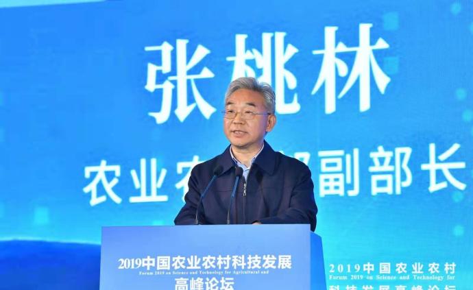 农业农村部副部长张桃林：明年全国有望达到8亿亩高标准田